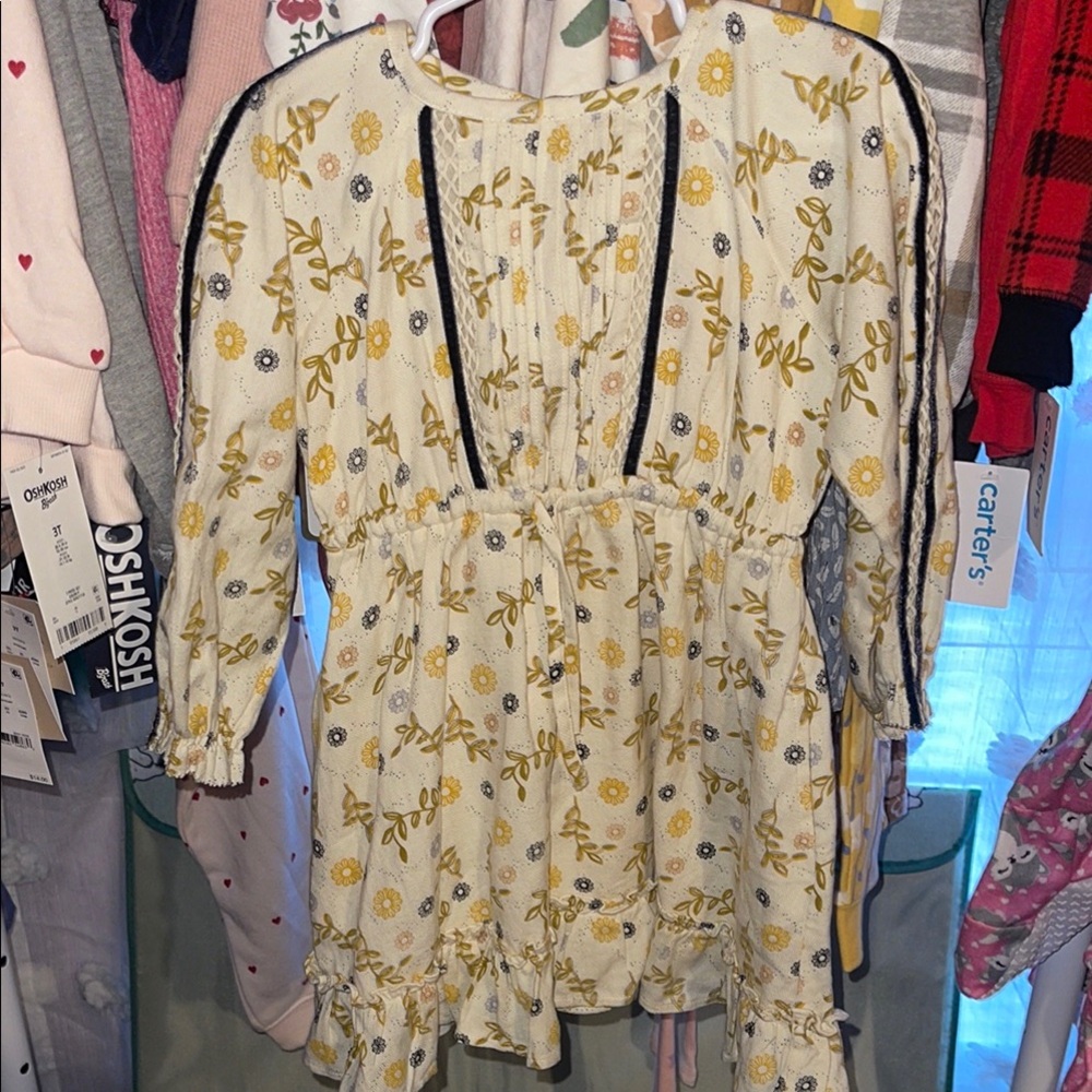 Velveteen Floral Long Sleeve Dress